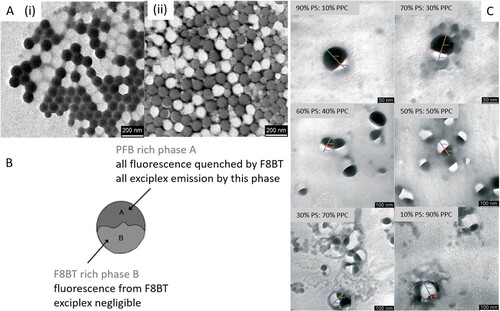Figure 3. Polystyrene (PS) and poly(propylene carbonate) (PPC) (PS:PPC) binary polymer Janus nanoparticles produced by emulsion method. (A) Transmission electron microscopy (TEM) micrographs of PS:PPC Janus nanoparticles (scale bar = 200 nm) (i) non-stained, (ii) stained, (B) schematic representation of Janus nanoparticles phase separation, and (C) high resolution TEM micrographs of PS:PPC Janus nanoparticles biphasic-binary polymer structure (scale bar = 100 nm). Reproduced from Ref. [Citation100] with permission.