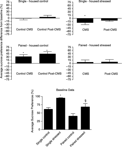 Figure 3 The percent difference in sucrose preference from baseline at CMS and post-CMS phases. The boxed graph shows the baseline values for each group. Data are group means ± SEM. Significant differences from baseline are indicated by an * above the relevant group. The single stressed group was significantly different from all other groups (*) and the paired stressed group was significantly different from its control counterpart (§) at baseline. The sample size was 11, 10, 10 and 12 rats in the single-housed control, single-housed stressed, paired-housed control, and paired-housed stressed groups, respectively.