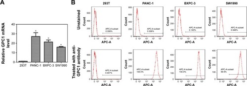 Figure 3 Expression of GPC1.Notes: (A) PCR analyses of GPC1 mRNA expressions in 293T, PANC-1, BXPC-3, and SW1990 cells. (B) Flow cytometry results for GPC1 expression in 293T, PANC-1, BXPC-3, and SW1990 cells. *P<0.05, for vs 293T. Data are presented as mean ± SD.Abbreviation: GPC1, glypican-1.