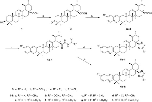 Scheme 1. Synthetic procedure to target compounds 4a–h, 5a–h, and 6a–h from ursolic acid. Reagents and conditions: (a) Jones reagent, acetone, 0 °C, 5 h; (b) EtOH, substituted o-amino benzaldehyde, KOH, reflux under N2 atmosphere for 24 h; (c) i. SOCl2, benzene, reflux for 3 h; ii. RCONHNH2, Et3N, CH2Cl2/ether, rt, 8 ∼ 12 h; (d) TsOH, toluene, reflux for 6 h; (e) Lawesson reagent, toluene, 110 °C, 6 h.
