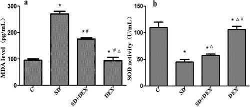 Figure 1. Oxidative stress indices. *P < 0.05 vs. C group; #P < 0.05, ∆P < 0.01 vs. SD group