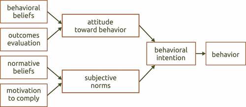 Figure 3. Overview of the theory of reasoned action (adapted from Fishbein and Ajzen (Citation2011)).