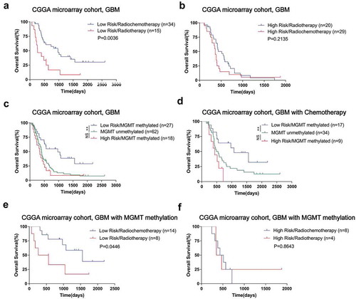 Figure 3. The risk signature mediated chemotherapy resistance in GBM of CGGA microarray cohort. A, For low-risk group, the patients with radio-chemotherapy survived significantly longer than those patients who received radiation alone. B, High-risk group patients did not benefit well from adjuvant chemotherapy. For all GBM patients who received chemotherapy, only the MGMT promoter methylated patients with a low-risk score had a survival advantage over the unmethylated ones; survival time of MGMT promoter-methylated patients with a high-risk score was similar to that of unmethylated patients (C and D). In GBMs with methylated MGMT promoters, only patients with a low-risk score benefited from chemotherapy (E and F). （* means P < 0.05, ** means P < 0.01, *** means P < 0.001, **** means P < 0.0001）.