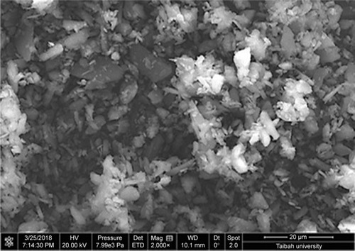 Figure 2 SEM micrograph of unprocessed GBD particles.Abbreviations: GBD, glyburide; SEM, scanning electron microscopy.