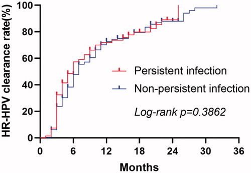 Figure 4. HR-HPV clearance rate by preoperative HR-HPV infection status in the FU group.