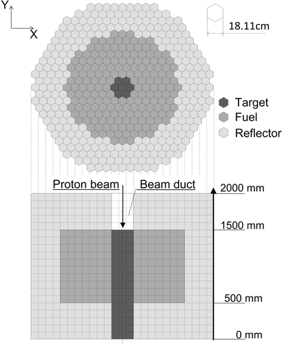 Figure 6. Conceptual design of ADS core.