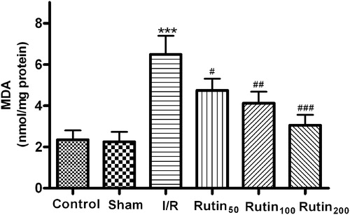 Figure 4. Effect of different doses of rutin on MDA content in the gastric mucosal after I/R in rats. Animals were all subjected to 30 min ischemia and 1 h reperfusion. Vehicle or different doses of drugs were administered for five consecutive days before gastric mucosal injury. ***p < 0.001 compared with the sham group; #p < 0.05, ##p < 0.01, ###p < 0.001 compared with the I/R control.