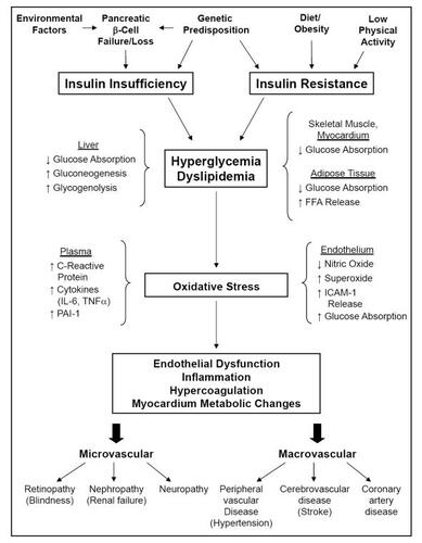 Figure 1 Summary of diabetes causes and progression. Diabetes represents a collection of disease processes involving progressive systemic loss of tissue sensitivity to insulin signaling and/or the loss of pancreatic β-cell number or function. Changes at the level of intracellular signaling include decreased expression of glucose transport proteins (GLUT4), decreased production of endothelial vasodilators (nitric oxide), increased intracellular oxidative stress (O2-), and release into the systemic circulation of pro-inflammatory (C-reactive protein, IL-6, TNFa) and coagulation (PAI-1, ICAM-1) mediators. These changes are both caused by and lead to decreased glucose absorption in several organs, increased levels of both circulating glucose (hyperglycemia) and non-esterified fatty acids (dyslipidemia), passive glucose diffusion into cells with unregulated glucose uptake, changes in vascular endothelial tone, and formation of atherosclerotic plaques. Glycosylation of intracellular and systemically circulating proteins, increased luminal fatty acid deposition, altered cellular metabolism, and increased clotting contribute to an increased risk for the microvascular and macrovascular risks associated with uncontrolled diabetes.