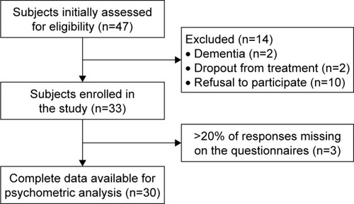 Figure 1 Flowchart showing the patient enrolment process.