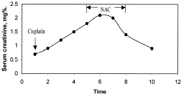 Figure 1. Course of the patient's serum creatinine level following cisplatin and subsequent NAC administration.