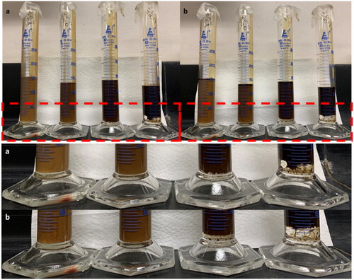 Figure 8. Bottle stability tests of saline (3.5 wt%) water-in crude oil emulsions. Samples (L-R) Control, 0.5 v/v%, 1 v/v%, 2 v/v% NA. Images taken 24 hours (a) and 1 week (b) post emulsification. Samples doped with 1 and 2 v/v% NA have resulted in the separation of free water during this time period as can be seen at the bottom of the measuring cylinders.