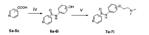 Scheme 2. Synthesis of picolinamide amide derivatives. Reagents and conditions: (iv) aminophenol, DCC, HOBT, toluene, RT; (v) (CH3)2 N(CH2)2Cl2, K2CO3, NaI, acetone, reflux.