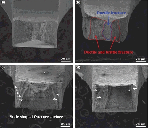 Figure 7. The low magnification fracture morphologies of Zr–Sn–Nb specimens at different partial pressures of iodine. (a) Without iodine; (b) 102 Pa; (c) 103 Pa; (d) 104 Pa.