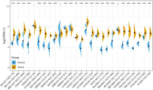 Figure 4 Expression levels of SEPHS2 in tumor and normal tissues from TCGA and GTEx databases (**P < 0.01, ***P < 0.001).