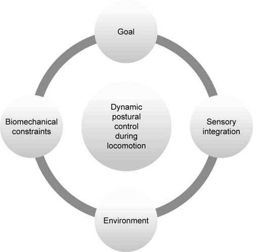 Figure 1 The model describing the elements that affect dynamic postural control during locomotion.