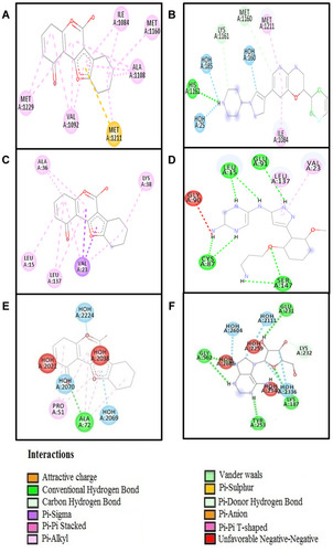 Figure 8 Shows 2D interactions of the best pose of (A) bromodomain protein 1 (Brd1) with wedelolactone; (B) bromodomain protein 1 (Brd1) with olinone; (C) acetyl transferase tip60 (AT tip60) with wedelolactone, (D) acetyl transferase tip60 (AT tip60) with anacardic acid. (E) CD73 with wedelolactone; (F) CD73 with Pt2385.