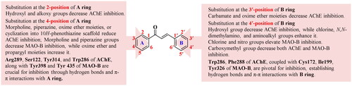 Figure 8. SAR of chalcone-based dual inhibitors targeting AChE and MAO-B.