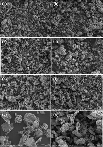 Figure 6. SEM image of ZnO NPs (1:1, 1:2, and 1:3) represented by (a), (b), and (c), respectively, CuO NPs (d), ZnO/CuO NCs (10%, 15%, 20% and 25%) represented by (e), (f), (g) and (h), respectively, which was synthesized in the presence of Musa acuminata peel extract.