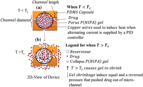 Figure 3. Operation of the Device Below and Above the LSCT: (a) When the Application Temperature is Less Than the T < LCST, Little or No Drug is Released and (b) Drug Molecules Released from the Hydrogel when T ≥ LCST.