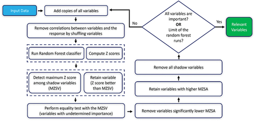 Figure 4. Framework for implementing the Boruta feature selection method.