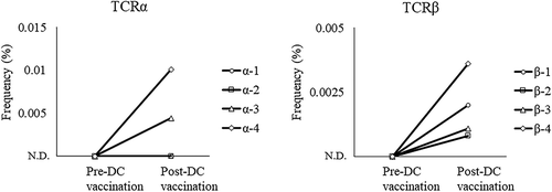 Figure 8. Increase in PPM1 F mutant peptide-reactive TCRs after neoantigen DC vaccination. TCR repertoire analysis of T cells in the malignant ascites of the patient pre- and post-DC vaccination was performed by next-generation sequencing. The frequencies of PPM1 F mutant peptide-reactive TCRα and TCRβ sequences were tracked in TCR repertoire sequencing data obtained from ascites. ND, not detected
