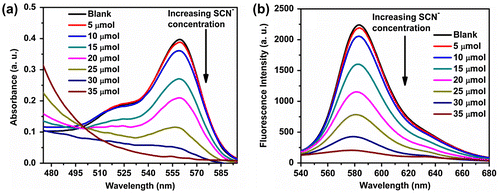 Figure 6. Variation in (a) absorbance and (b) fluorescence spectra of the polymer P3 (20 μmol)-Cu2+(30 μmol) in Tris buffer (pH 7) at different concentrations of SCN− (0–35 μmol).