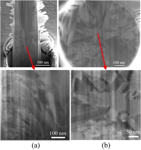 Figure 9. FIB-SEM (a) longitudinal section and (b) transverse section images of the printed pillars at −0.7 V and 1 mbar.