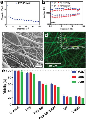 Figure 4. Viscosity as a function of shear rate (a), frequency sweep of the cross-linked PVP-BP 3hUV hydrogel prior to electrospinning (b). SEM micrographs of 17% PVP based fibre mat with 0.25% w/w lysozyme (c). Histogram of PVP-BP-LY fibre diameters. Fibre diameters were extracted from at least 200 fibres measured individually from a series of randomly chosen SEM images using ImageJ software (inset). Micrograph of PVP-BP-LY fibres (Rhodamine-B labelled) obtained using confocal microscopy (d). Viability of fibroblasts after 24, 48 and 72 h of incubation on electrospun PVP mat, PVP-BP and PVP-BP cross-linked for 3 h. The amount of BP used as a control in this experiment was equivalent to that used in the PVP-BP and PVP-BP 3hUV samples. Two controls were used: positive (10% dimethyl sulfoxide in DMEM) and negative (cells seeded in empty non-treated plastic wells containing DMEM (e)).