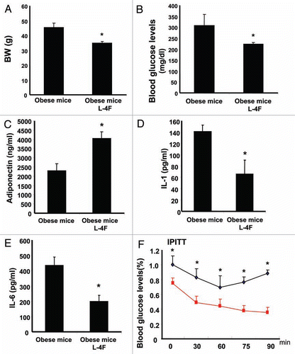 Figure 1 Effect of L-4F on body weight, blood glucose levels, adiponectin, IL-1 and IL-6 in ob mice. (A–E) respectively. (A) Body weight is shown. (B) Fasting blood glucose levels (*p < 0.001). (C) Plasma adiponectin levels (*p < 0.05). (D) Plasma IL-1 levels (*p < 0.01). (E) Plasma IL-6 levels (*p < 0.01). (F) Blood glucose levels after insulin administration (*p < 0.05). The results are mean ± SE, n = 6 in each group.