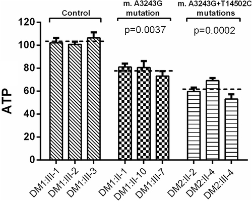 Figure 3 Analysis of ATP levels in three patients with the m.A3243G and m.T14502C mutations, three patients with the only m.A3243G mutation and three controls without these mtDNA mutations.