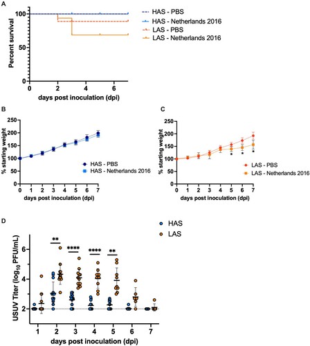 Figure 4. Mortality, morbidity, and viremia of HAS and LAS chickens inoculated with USUV. (A) Kaplan-Meier survival curve of chickens inoculated with 1500 PFU USUV or PBS. (B) Mean percentage of initial starting weight of HAS chickens following USUV inoculation. (C) Mean percentage of initial starting weight of LAS chickens following USUV inoculation. *p < 0.05. (D) Viremia of HAS and LAS chickens inoculated with 1500 PFU. Circles represent individual samples; lines represent mean; error bars represent standard deviation. The limit of detection is indicated by dashed line. **p < 0.01, ****p < 0.0001.