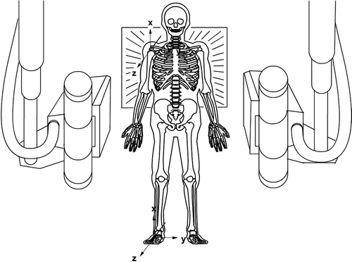 Figure 1. Reference position. The global coordinate system is fixed to the cage (illustrated here at floor level). At the reference examination the two body-fixed coordinate systems (one scapular one humeral) are aligned to the cage system.