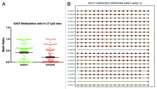 Figure 7. RRBS CpG methylation validation via targeted bisulfite sequencing for GAS7 in colon cancer. (A) Validation of 17 CpG sites in cancer tissues compared with their corresponding matched normal tissues (n = 18). CpG sites from the tumor group are plotted in red and CpG sites from the normal tissues group are shown in green. The Y-axis shows the average methylation and the X-axis shows the type of samples. This region of the GAS7 promoter as a whole was significantly (P < 0.0001) hypermethylated in the tumor group. (B) The CpG sites depicted as lollipop and the color indicates the level of methylation from higher to lower in yellow > orange > red order. CpG sites with no available data are represented by straight lines for two samples (CC1063N and CC1017N).