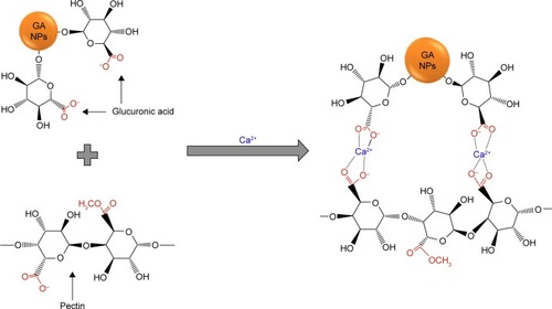 Figure 1 Chemical structure of the bioinspired hydrogels.