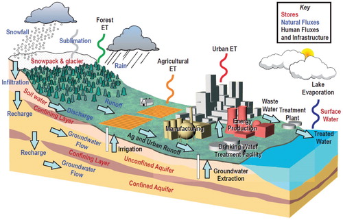 Figure 1. Schematic diagram of hydrological cycle showing the importance of evapotranspiration (ET).