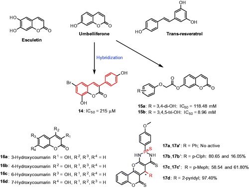 Figure 7. Chemical structure of coumarin derivatives, 14,Citation73 15a–15b,Citation74 16a–16dCitation75 and 17a–17dCitation76.