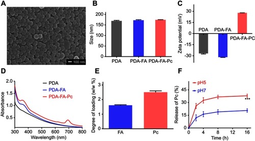 Figure 2 Characterization of PDA-FA-Pc nanomedicine. (A) The scanning electron microscopy image of PDA-FA-Pc nanomedicine. (B) The size distributions of PDA, PDA-FA and PDA-FA-Pc nanomedicine in water measured by DLS. (C) Zeta potentials of PDA, PDA-FA and PDA-FA-Pc nanomedicine. (D) UV-vis absorption spectra of PDA, PDA-FA and PDA-FA-Pc nanomedicine. The UV-vis absorption spectra of pure FA and Pc were shown in Figure S3. (E) The degree of loading (DOL) of FA and Pc in PDA-FA-Pc nanomedicine (w/w %). (F) The release of the monomeric Pc molecules from PDA-FA-Pc nanomedicine in acidic (pH 5) and neutralized (pH 7) conditions. The values were represented as mean ± SD, ***p <0.001.