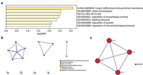 Figure 5. Function enrichment of similar genes expressed in HNSCC