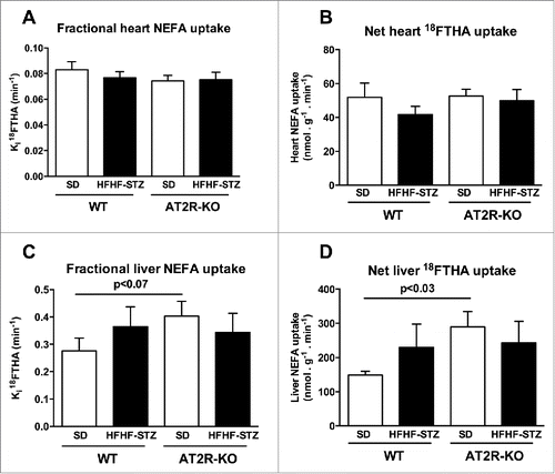 Figure 1. Effect of HFHF-STZ on non-esterified fatty acid uptake of [18F]-FTHA in WT and AT2R-KO mice. WT and AT2R-KO mice were fed either a standard laboratory rodent diet (SD) or a high-fat/high-fructose diet with small injection of streptozotocin (HFHF-STZ) for 6 weeks. At the end of the experimental period, [18F]-FTHA was given i.v. during the fasting state. The Ki fractional uptake of [18F]-FTHA was analyzed by µPET in the heart (A) and the liver (C); and the Km net uptake of [18F]-FTHA was analyzed by µPET in the heart (B) and the liver (D). Data are presented as mean ± SE (n = 8–10). Statistical analyses of the data were performed using Mann-Whitney test.