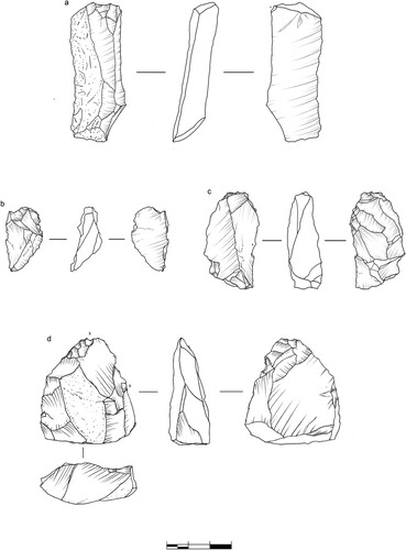 Figure 10. EDAR 135, upper level. Artefacts collected before the excavations from the site’s surface and profile: (a) blade; (b) retouched flake; (c) bipolar core; (d) sidescraper; Raw material: (a) fine-grained rhyolite, (b–d) quartz. Drawings by M. Ehlert.