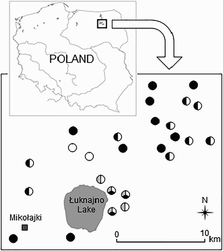 Figure 1. Distribution of midfield ponds in the study area of the Mazurian Lakeland, NE Poland. White circles – ponds with the Little Crake nests, black circles – ponds with the Water Rail nests, grey circles – ponds with artificial nest. Circles with more than one colour represent ponds where nests of both species were found or where artificial nests were placed.