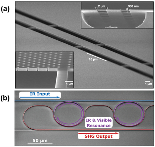 Figure 6. Scanning electron microscopy (SEM) images of (a) a GaN wire waveguides suspended with tethers. Reprinted with permission from [Citation179] © The Optical Society; and (b) AlN-based microring resonators before their encapsulation. Reproduced from [Citation183] with the permission of AIP Publishing.