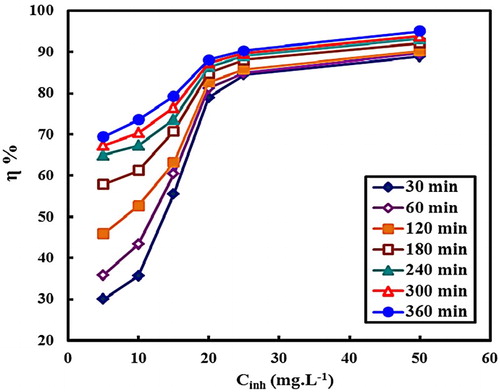 Figure 4. Relation between concentrations of MA-amido surfactant and inhibition efficiency at different immersion time.