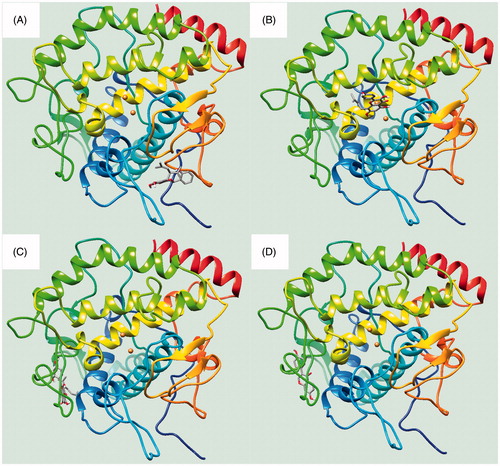 Figure 4. (A–D) The location of respective ligands 1–4 bound into receptor.