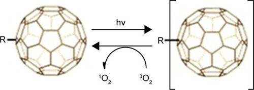 Figure 31 The scheme of fullerene using its ability to create singlet oxygen.Notes: In the figure, symbol R means single strand of DNA (in the case of DNA cleavage). First, 3C60 (100% efficiency) is created as a result of photoexcitation. Next, with the participation of excited fullerene and molecular oxygen, singlet oxygen 3C2 is generated, while the excited fullerene returns to the ground state. As a result, the DNA strand may be cut, thanks to the action of 3C2.