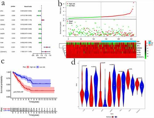 Figure 8. The prognostic risk assessment of immune-related genes in sarcoma. (a) Univariate regression for immune genes. (b) RS values, distribution of survival status, and heatmap for the seven prognosis-related immune genes are shown from top to bottom. (c) Kaplan–Meier curves of the two groups. (d) Violin map of seven prognostic immune genes expressed in the high – and low-risk groups