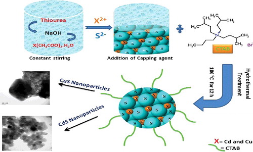 Figure 1. Schematic illustration of formation pattern of CTAB capped CuS and CdS Nanoparticles.