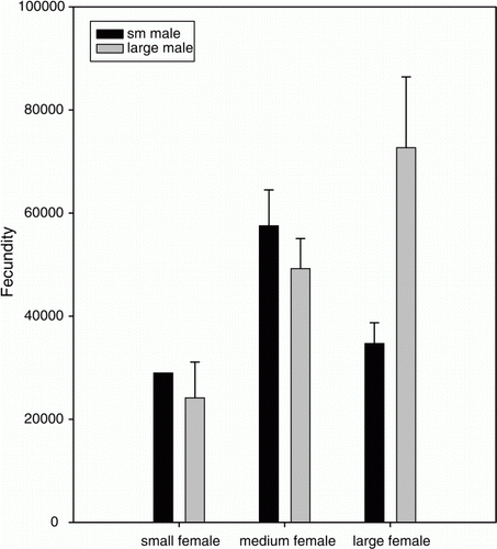 Figure 2.  The effect of female size and male size on fecundity (no. eggs/clutch) of Panulirus guttatus. ANOVA results indicate that fecundity depends on both male and female size; specifically, matings between large females and small males produced significantly fewer eggs.
