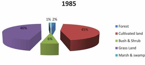 chart 3. Land Use/Land Cover Types (1985).