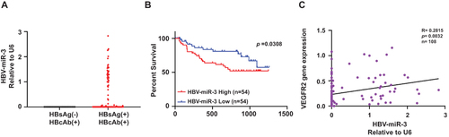 Figure 1 High HBV-miR-3 expression is associated with poor prognosis of HBV-related HCC patients and HCC angiogenesis. (A) HBV-miR-3 levels in HBsAg(-)HBcAb(+) patients (n=23) and HBsAg(+)HBcAb(+) patients (n=108). (B) Kaplan–Meier survival curves according to HBV-miR-3 expression in the tissue of HBV-related HCC patients (classified as low or high using the median value of all patients normalized to patient 1). Survival curves of two groups were compared using the Log rank test. (C) Pearson Correlation analysis of HBV-miR-3 and VEGFR2 gene expression.